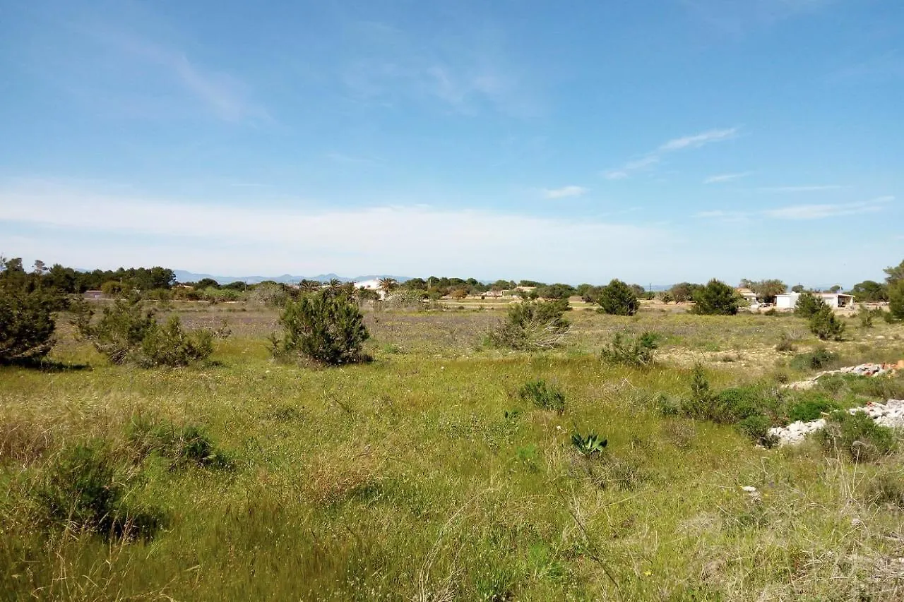 度假居 La Casita Yolanda, Ideal Parejas - Formentera Natural 圣费兰-德瑟斯罗 西班牙